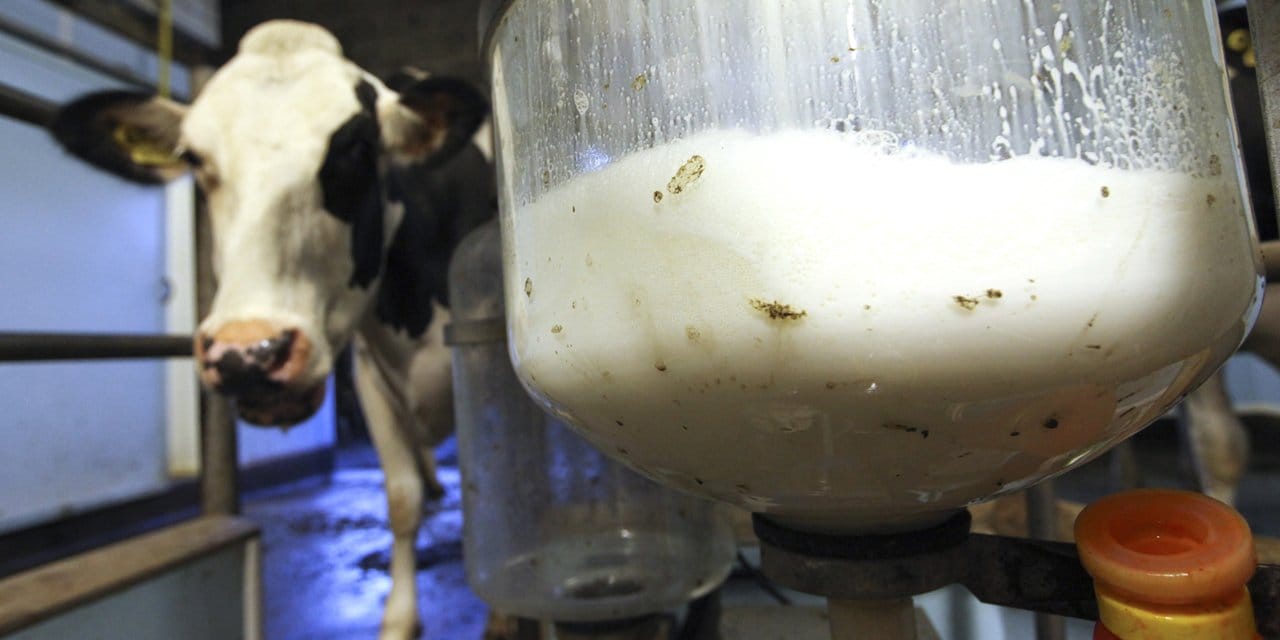 cig sut fiyatlarina zam geldi iki ay sonra yeniden artabilir RpkwbHJ6