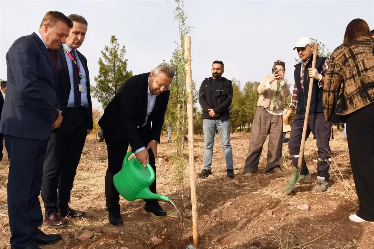 Dicle Üniversitesi’nde Fidan Dikimi Etkinliği