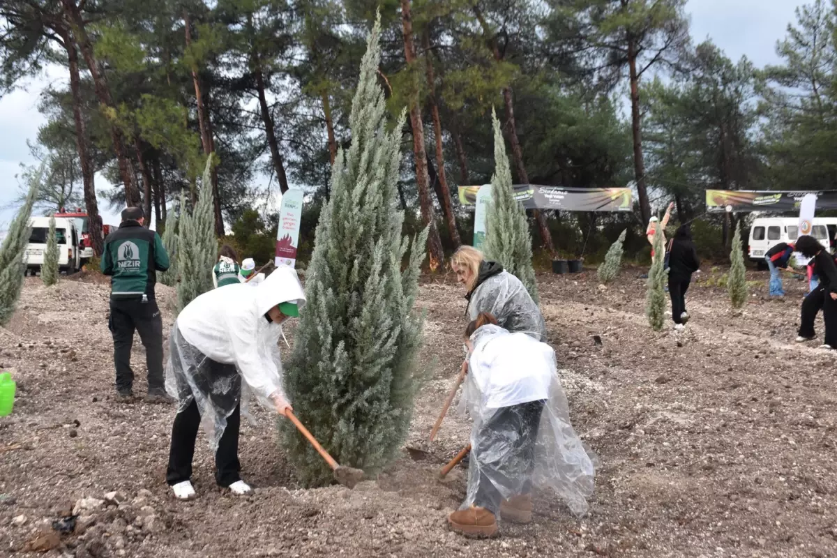 İzmir’de 11 Kasım Milli Ağaçlandırma Günü’nde 115 Bin Fidan Dikildi