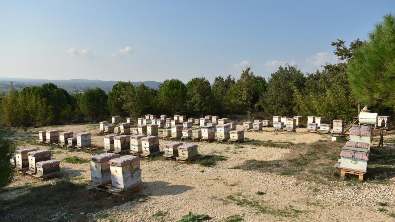Dolandırıcıların yeni gözdesi! Kilosu 20 bin lira: Yüzde 90’ı sahte!