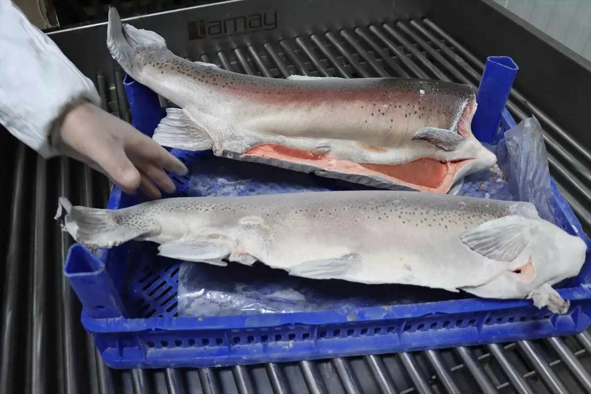 Ömer Tunç’tan 20 Yılda 5 Milyon Dolar İhracat