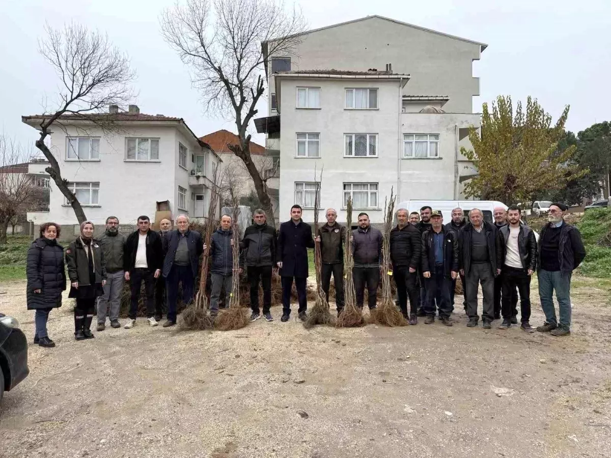 Osmaneli’nde Meyve Fidanı Desteği