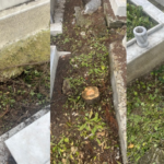 atlas-featured-17584-1775821549-rvoD0s